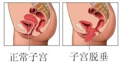 image003_副本.jpg