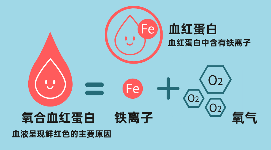 氧合血红蛋白图片图片