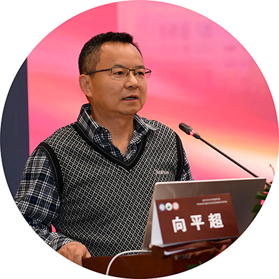 2-向平超.jpg
