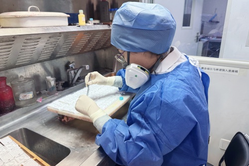 病理医生 (1).jpg 病理医生 (1).jpg