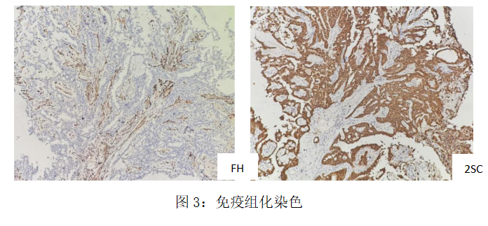 ScreenShot_2025-11-19_100321_586.png ScreenShot_2025-11-19_100321_586.png